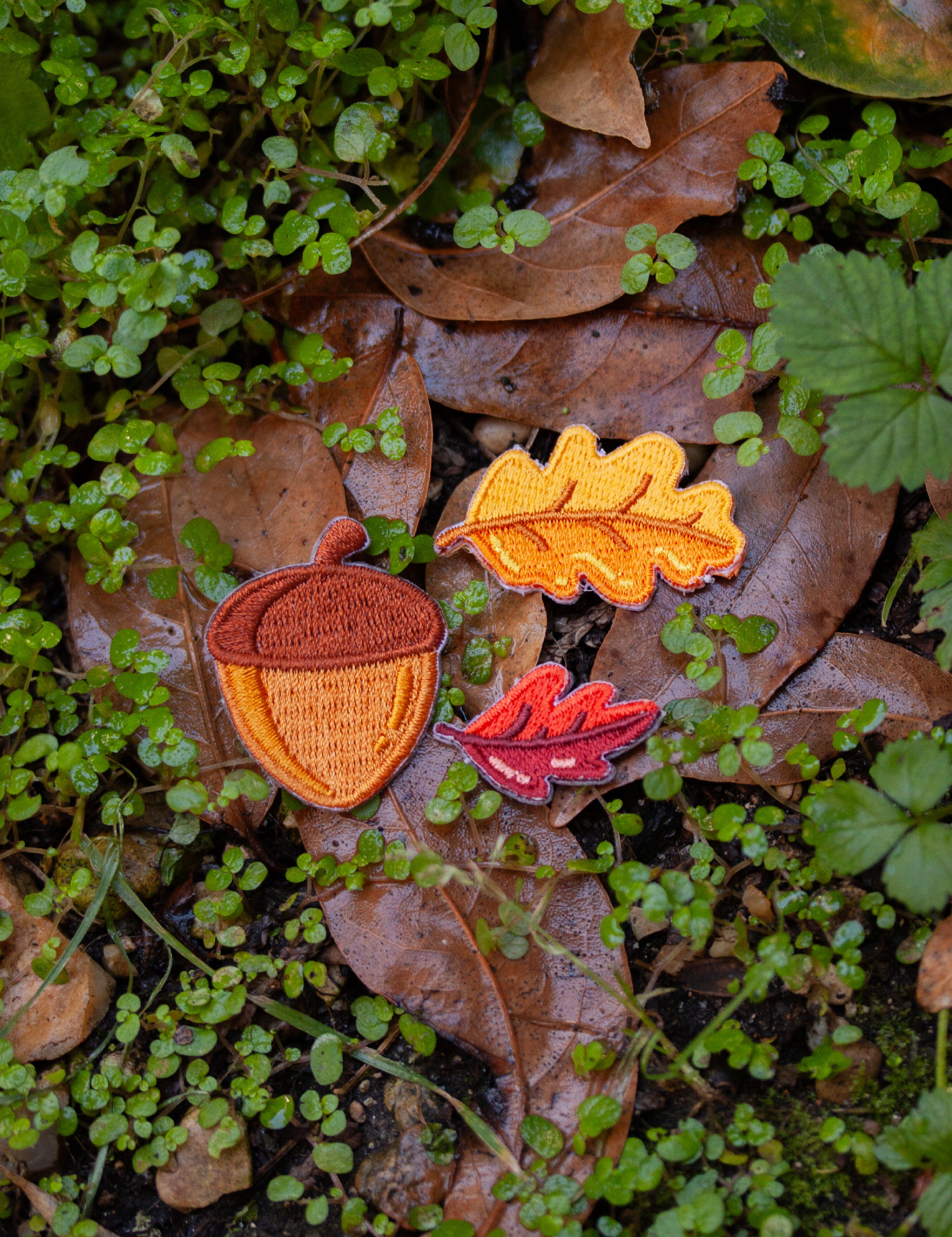 Fall Patch set